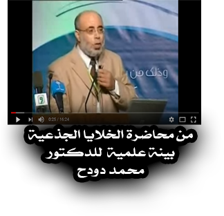 من محاضرة الخلايا الجذعية